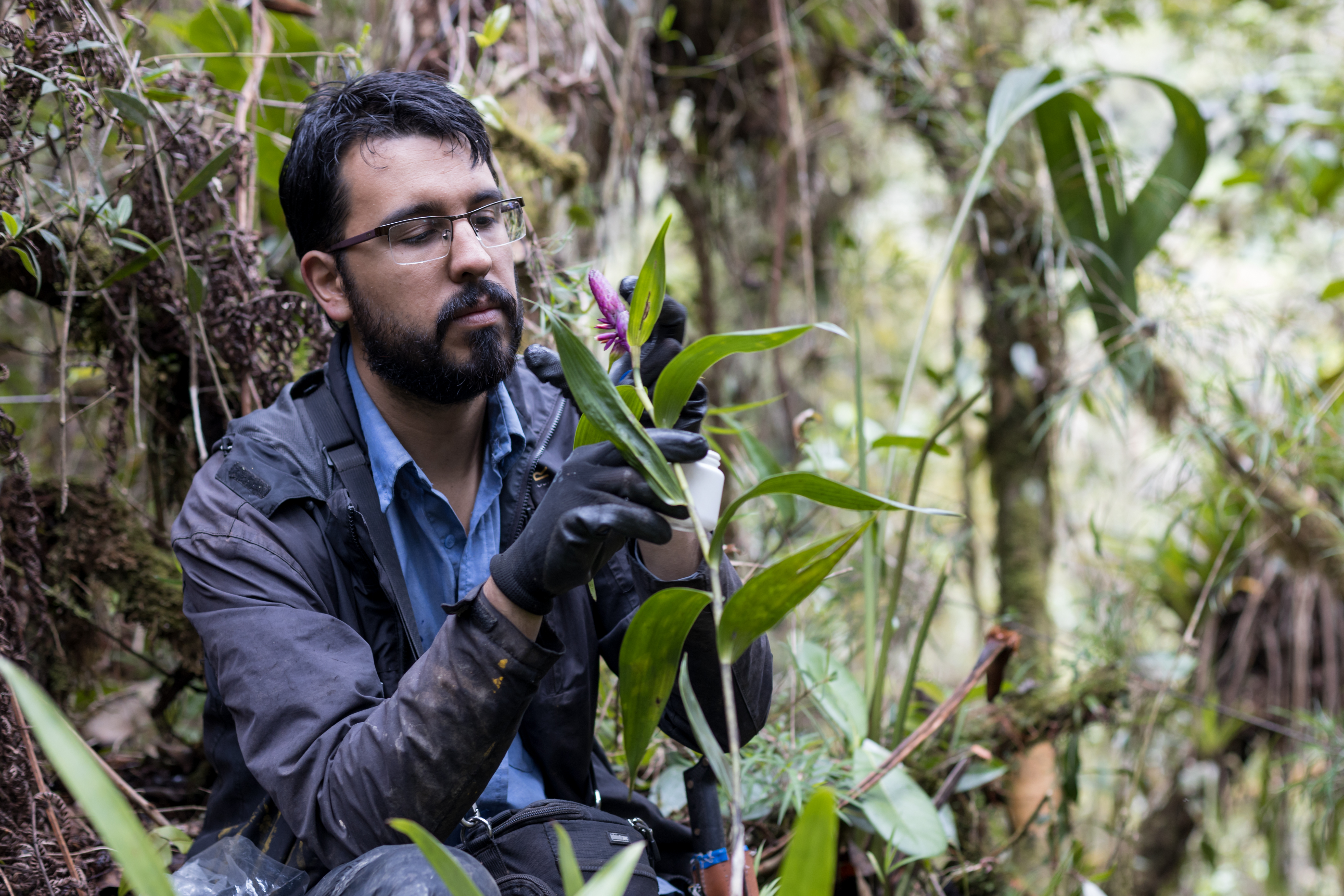 David Esteban Hernández