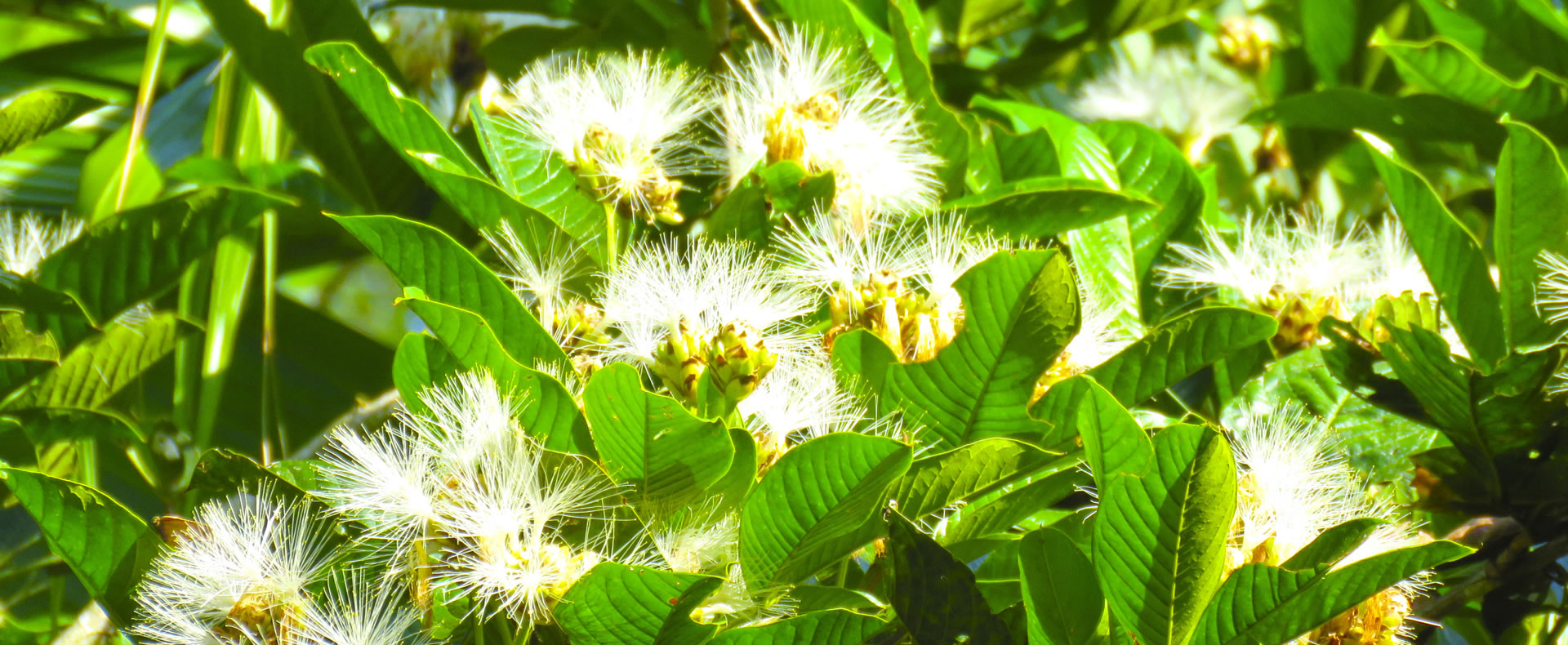 control deslizante 03